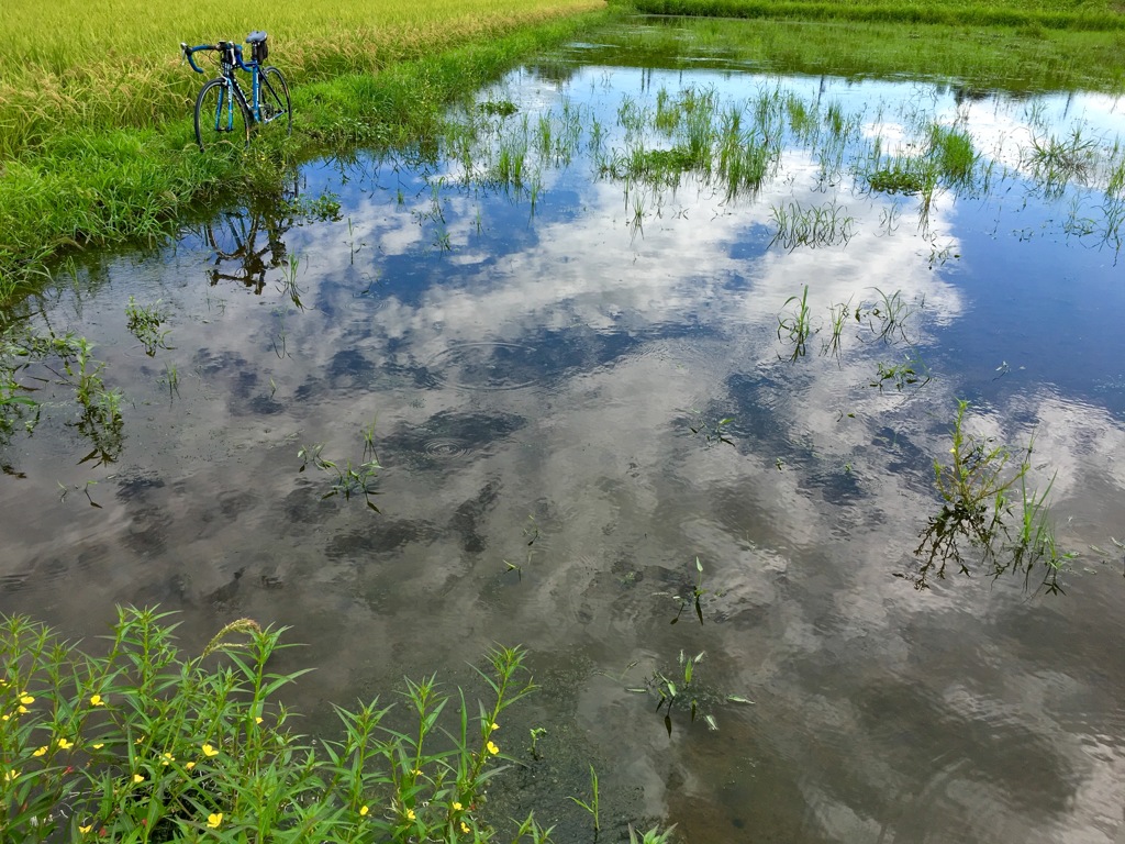 爽やかな空 By 三重のｎ局 Id 写真共有サイト Photohito