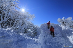 幼き登山者？