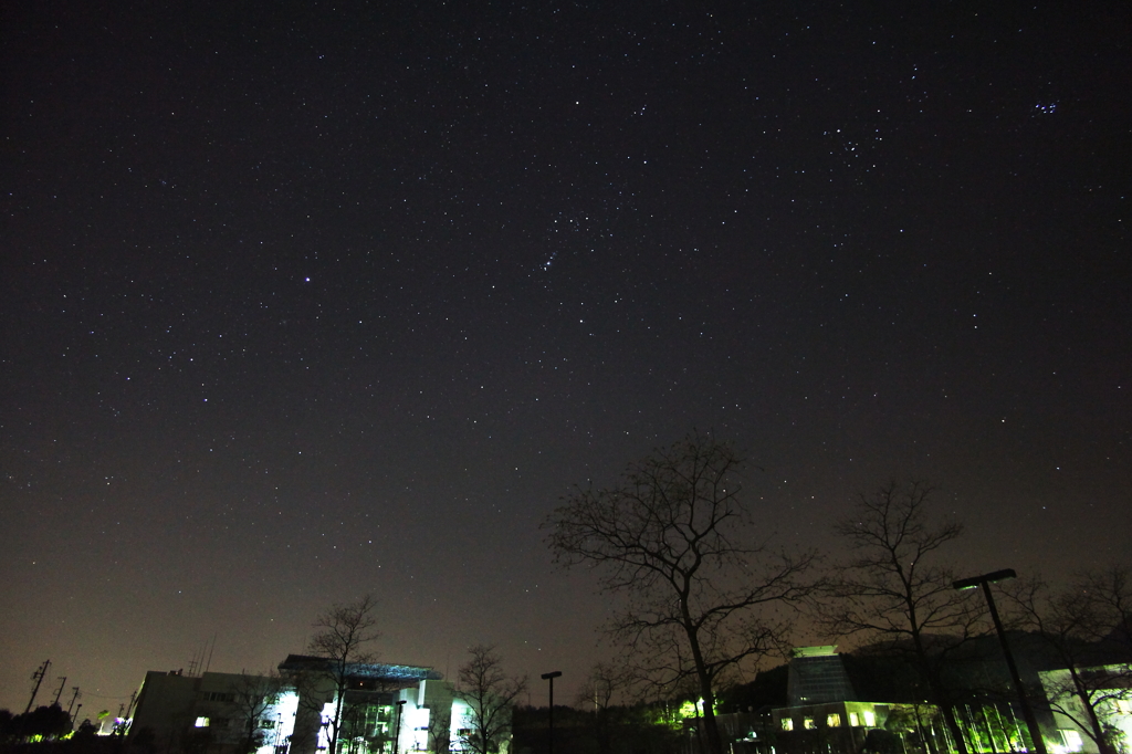 冬の輝く夜空