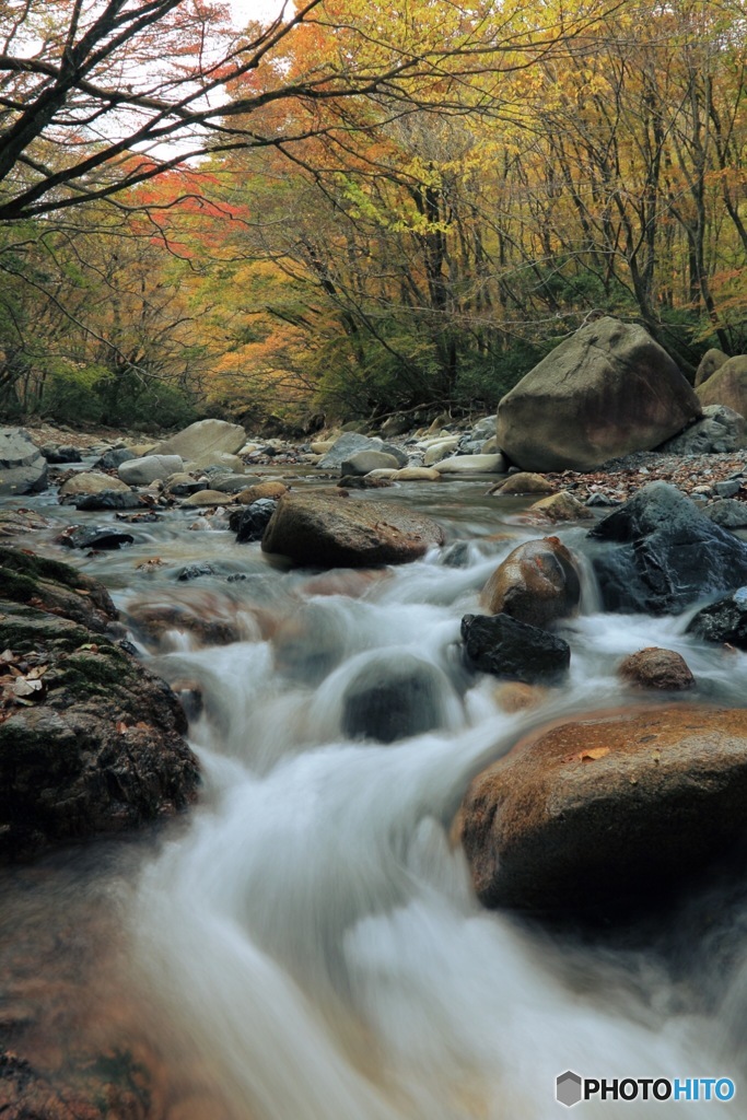 鈴鹿の上高地