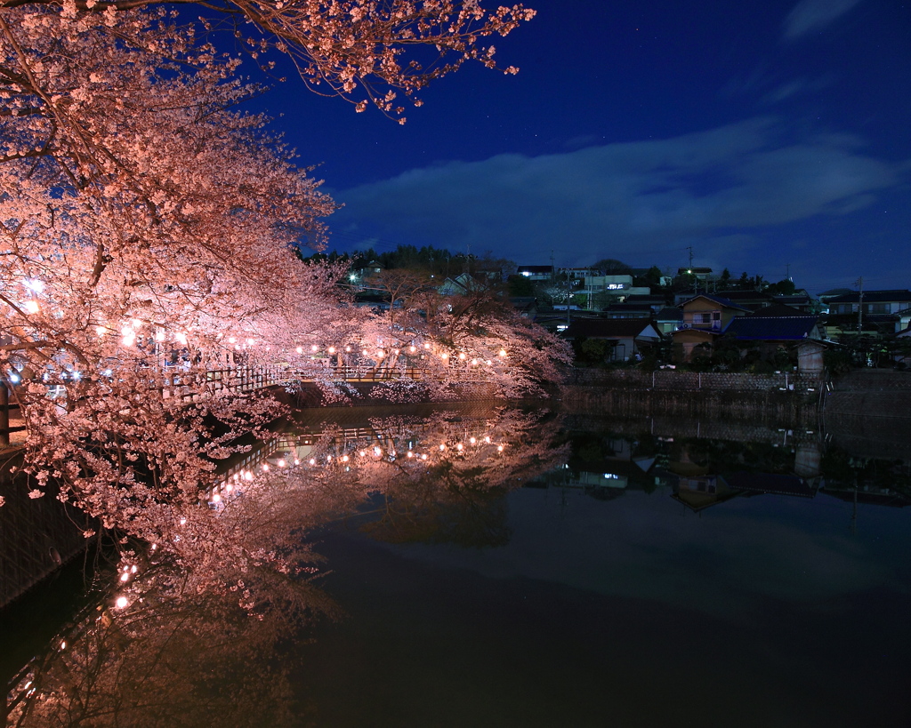 夜桜の見れる家　Ⅱ