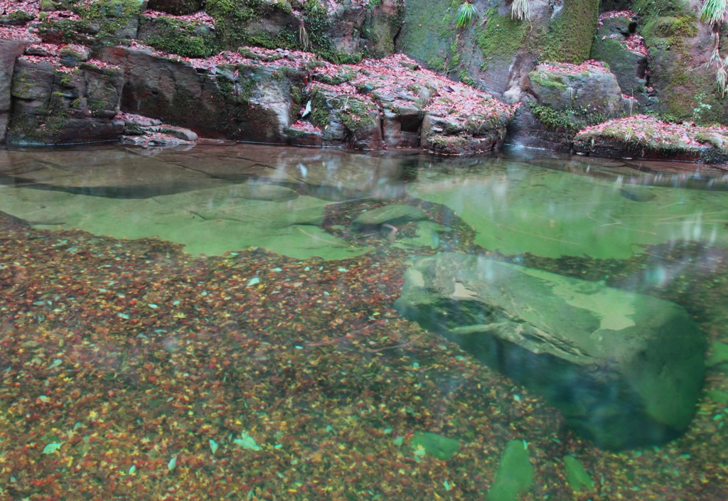 水中枯