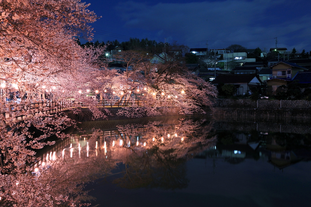 夜桜の見れる家