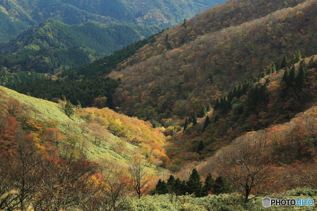 心のふるさと秋風景