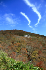 山上公園の紅葉