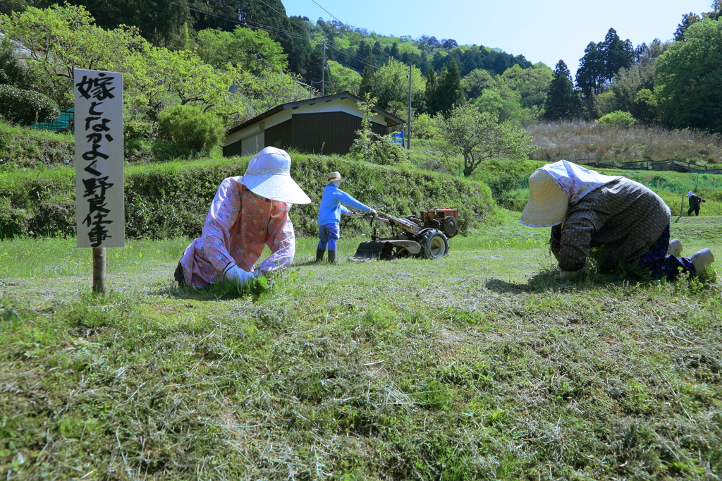 嫁となかよく野良仕事