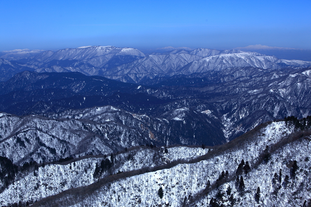 うさぎ山の頂上