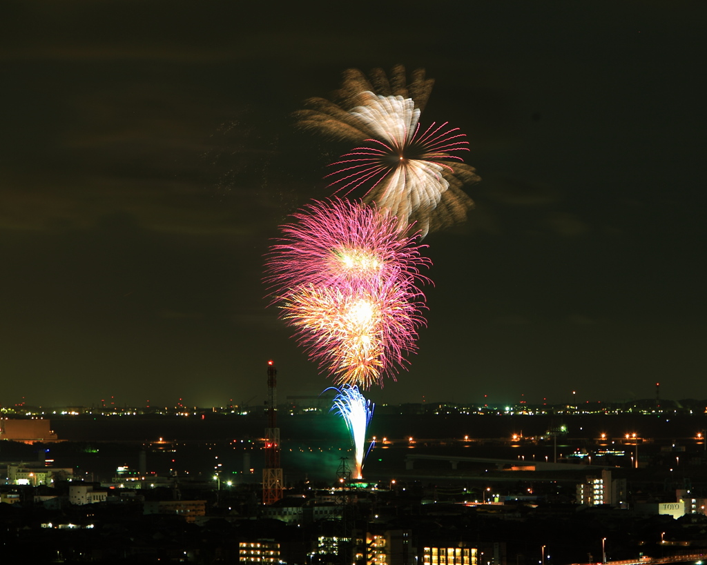 夜空の羽ばたき