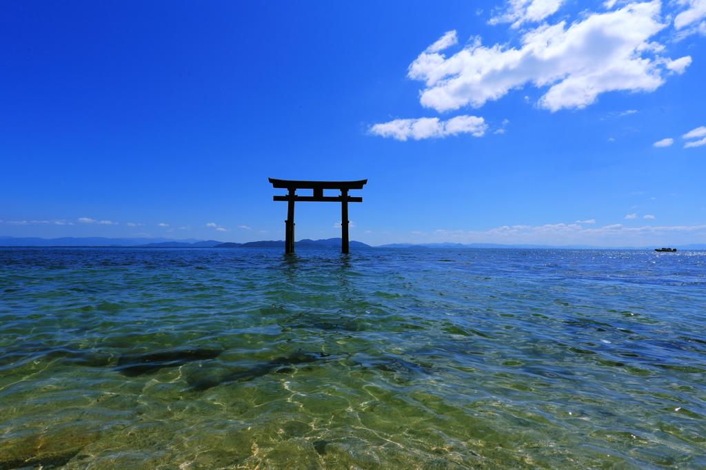 近江の厳島Ⅱ