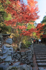 眼鏡地蔵　（朝）