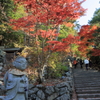眼鏡地蔵　（朝）