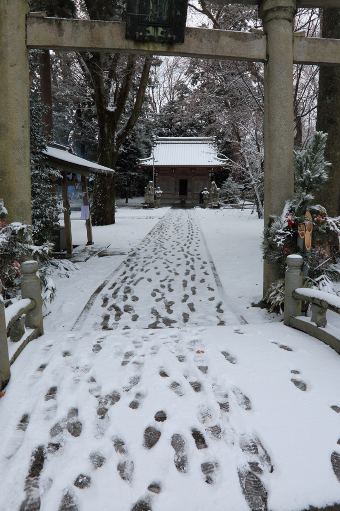 くる年