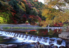 黄昏れ時の紅葉