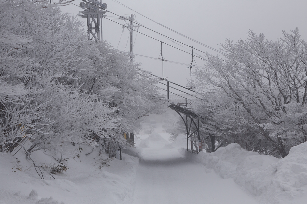 やっぱりゴールは雪国だった！