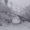 やっぱりゴールは雪国だった！