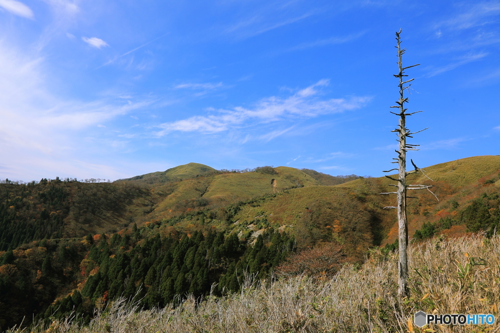 遠足尾根から望む竜ヶ岳