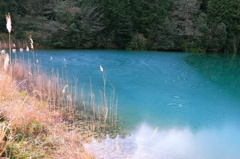 氷りゃ～寒いはず