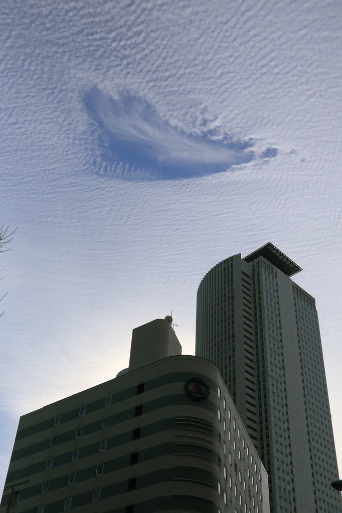 開雲　（開運）