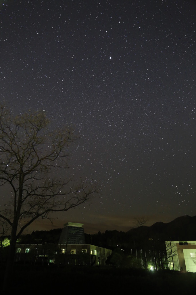 ふたご座流星群2013