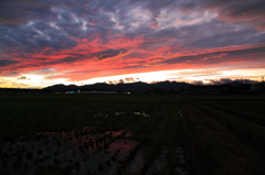 田園の夕焼け空