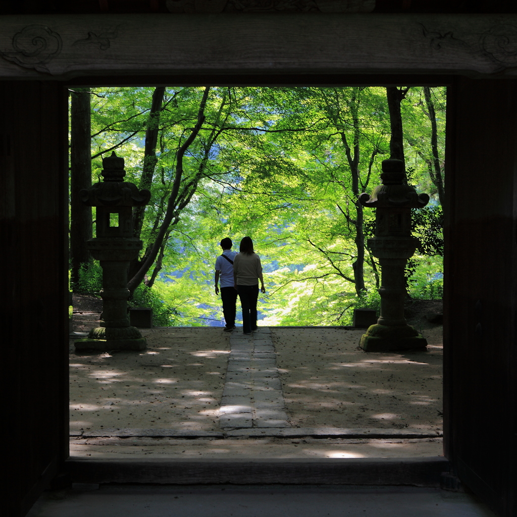 紅葉待遠しく