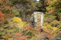 庵座の滝Ⅱ