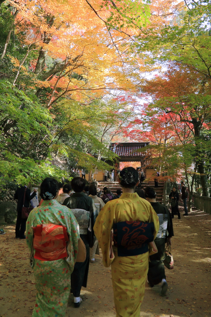 紅葉の意匠