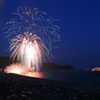 飛鳥も見ていた熊野大花火大会
