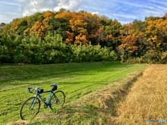 里山の紅葉