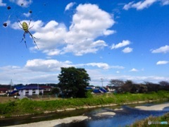 蜘蛛り空