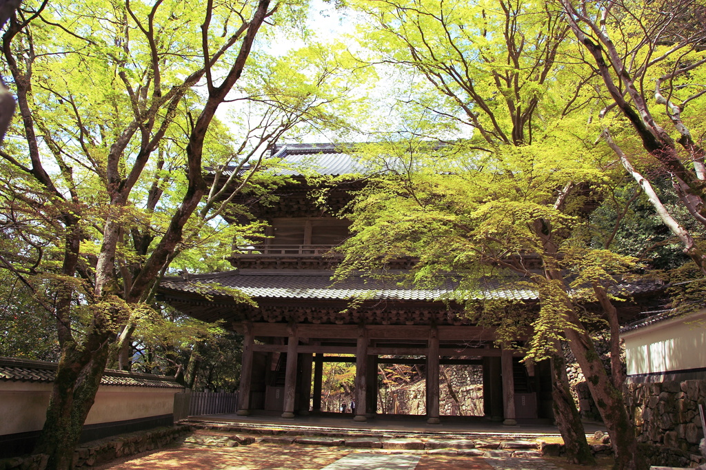 永源寺山門