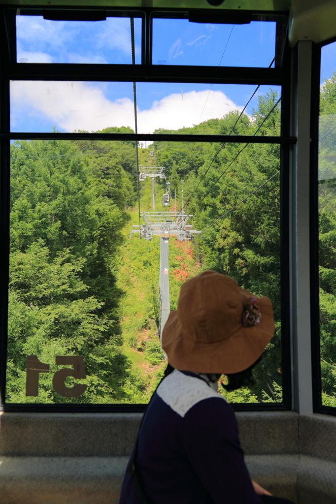 夏山が好き！