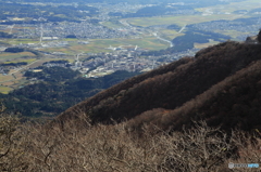藤原岳から見たセメント工場