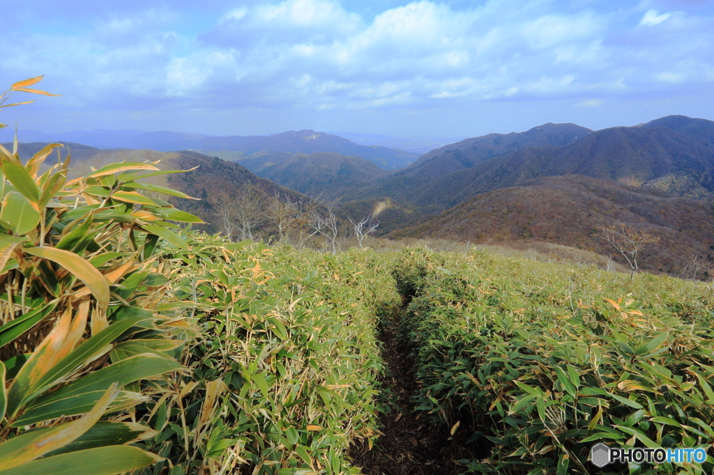 笹山