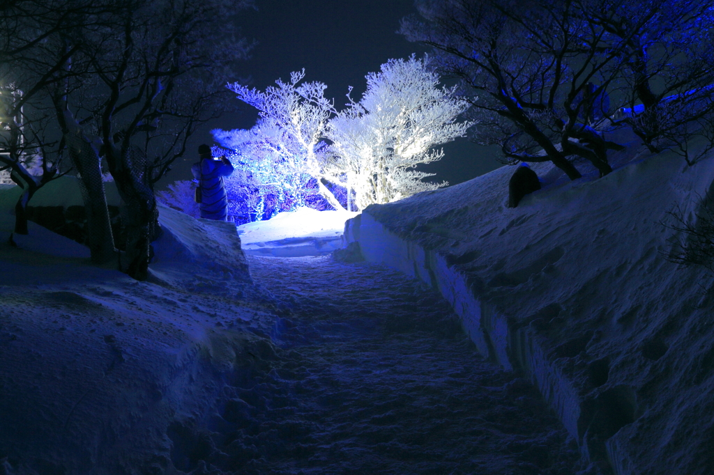 煌めく樹氷