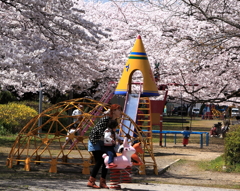 桜公園