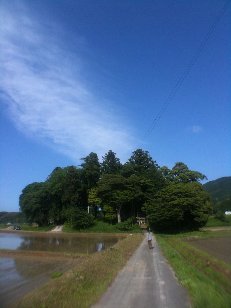 とある神社-いち-＆友人