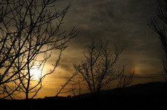 DSC_1134
