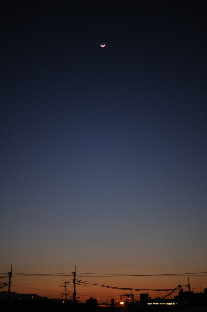 DSC_1437