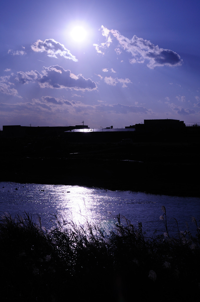 DSC_1104