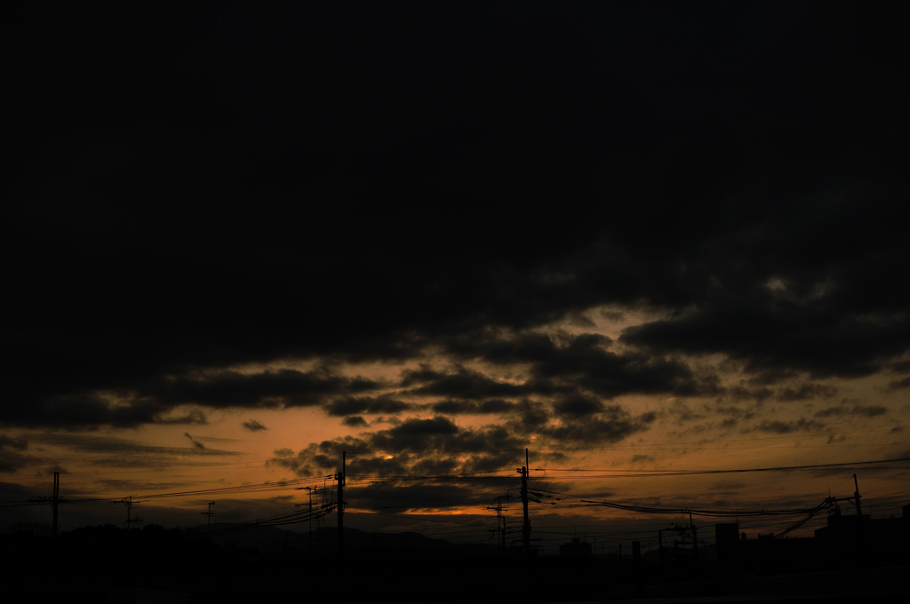 DSC_1413