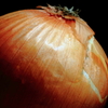Onion（カラー）