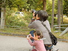 親子（組写真 その１）