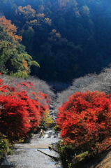 山河を彩る