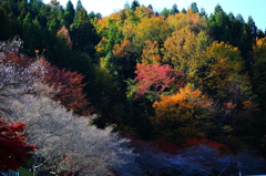 山の色彩