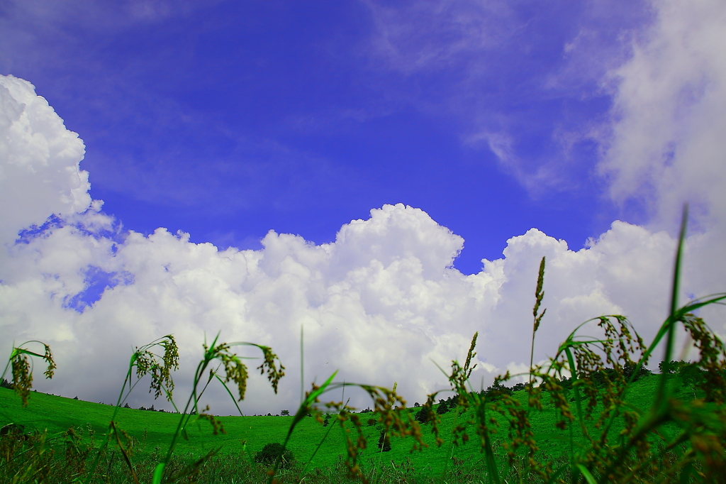 【風景】は～れた、空～（￣▽￣）♪