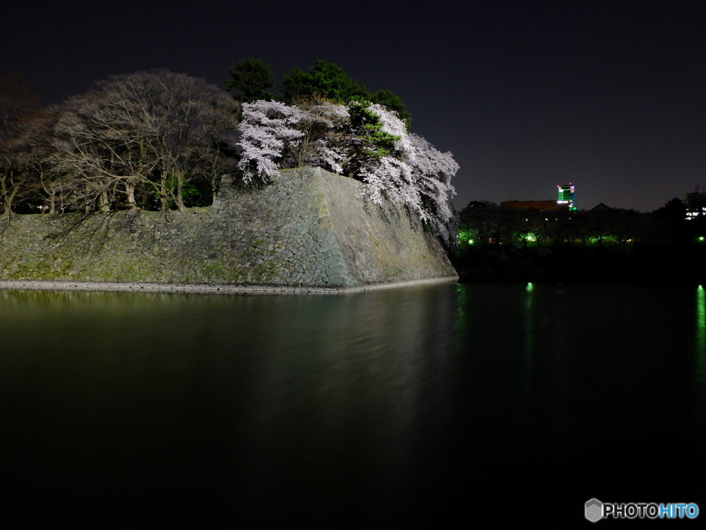 石垣の角っこ