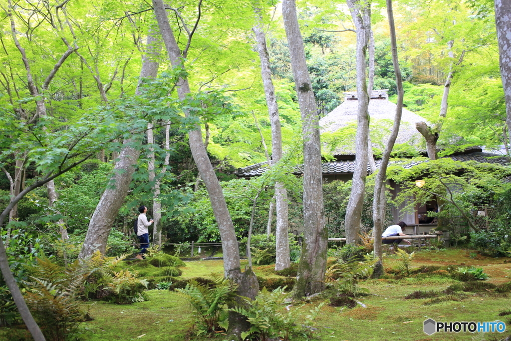 祇王寺