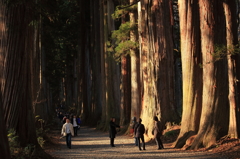 戸隠神社 奥社の杉並木