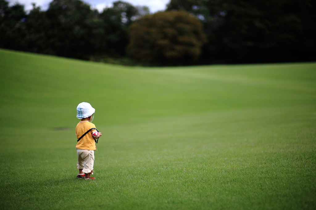 カメラ幼児、でびゅー